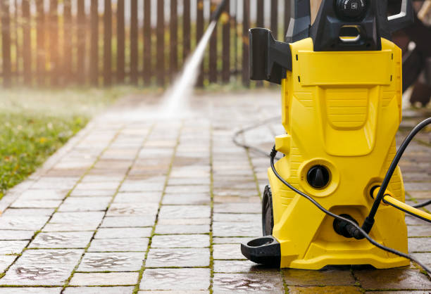 Animal Enclosure Cleaning in Spring Valley, NY